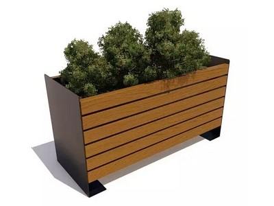 Вазон Ирис, Сосна