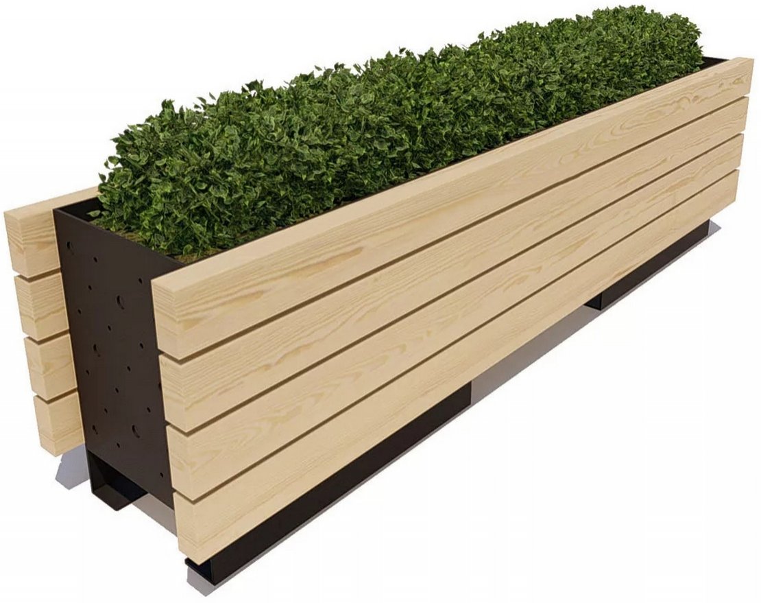 Вазон Бегония - вид 5